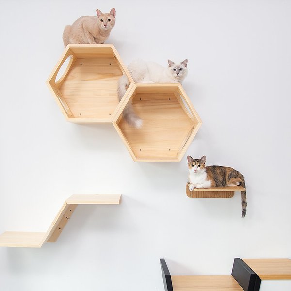 Myzoo Busycat Wall Mounted Cat Shelf, Cool Cat Wall Shelves