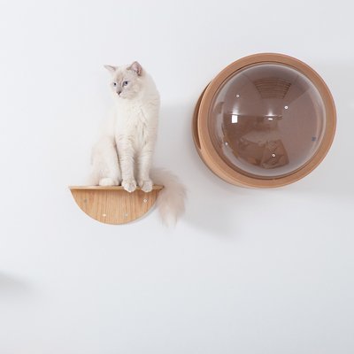 MyZoo Lack Round Wooden Wall Mounted Cat Shelves, 2 count, slide 1 of 1