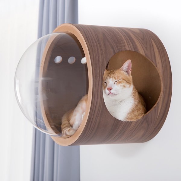 Myzoo Spaceship Gamma Wall Mounted Cat, Cool Cat Wall Shelves