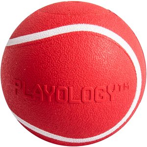 Playology Scented Squeaky Chew Ball Dog Toy, Small, Beef Scented