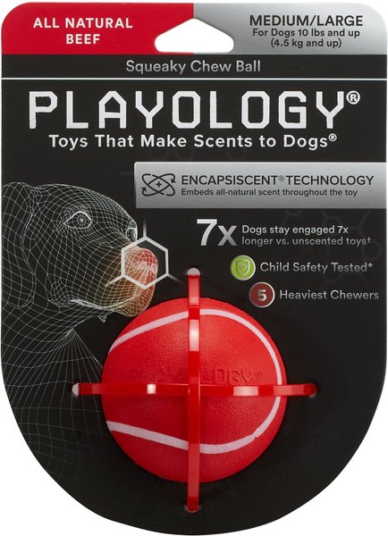 Playology Scented Squeaky Chew Ball Dog Toy, Medium/Large, Beef Scented slide 1 of 8