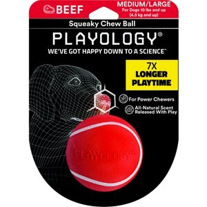 Playology Scented Squeaky Chew Ball Dog Toy, Medium/Large, Beef Scented