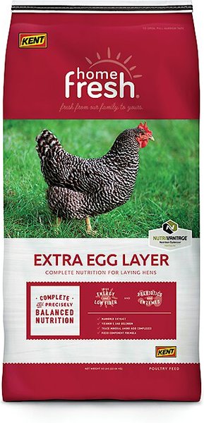 Kent Home Fresh Extra Egg Layer Crumbles Chicken Food, 50-lb bag slide 1 of 7