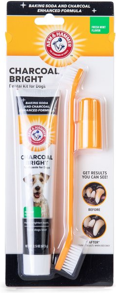 Arm & Hammer Plaque Removal Fresh Mint Flavored Charcoal Dog Dental Kit, 2.5-oz bottle slide 1 of 4