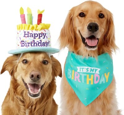 Frisco Birthday Cake Dog & Cat Hat & Frisco Dog & Cat Birthday Bandana, slide 1 of 1