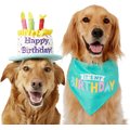 Frisco Birthday Cake Dog & Cat Hat, Medium/Large & Frisco Dog & Cat Birthday Bandana, One Size