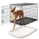 Frisco Fold & Carry Single Door Collapsible Wire Dog Crate, 42 inch & Frisco Quilted Dog Crate Mat, Ivory, 42-in