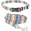 Frisco Geo Graphic Print Dog Leash, Small: 6-ft long, 5/8-in wide & Frisco Geo Graphic Print Dog Collar, Small: 10 to 14-in neck, 5/8-in wide