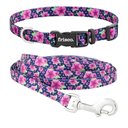 Frisco Midnight Floral Dog Leash, Large: 4-ft long, 1-in wide & Frisco Midnight Floral Dog Collar, Large: 18 to 26-in neck, 1-in wide