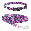 Frisco Midnight Floral Dog Leash, Small: 6-ft long, 5/8-in wide & Frisco Midnight Floral Dog Collar, Small: 10 to 14-in neck, 5/8-in wide