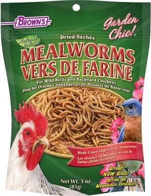 Brown's Dried Mealworms Wild Bird & Poultry Treats, slide 1 of 1