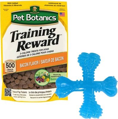 Nylabone Puppy Teething X Bone Beef Flavored Puppy Chew Toy & Pet Botanics Training Rewards Bacon Flavor Dog Treats, slide 1 of 1