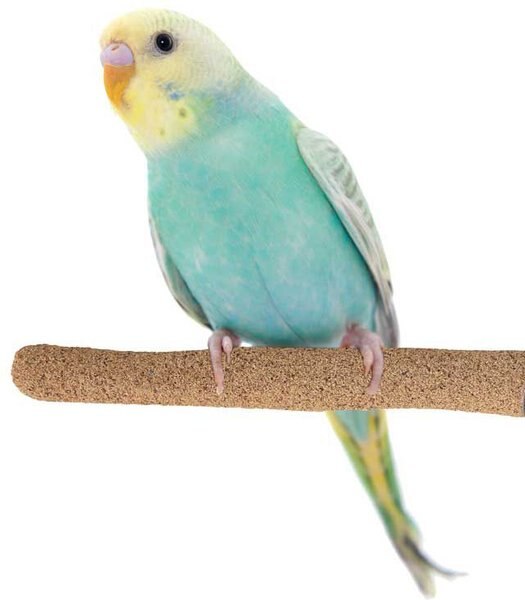 Super Bird Creations Sure-Grip Grooming Perch, Small slide 1 of 4