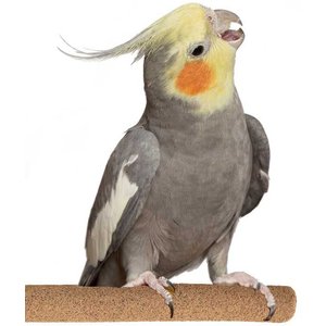 Super Bird Creations Sure-Grip Grooming Perch, Medium