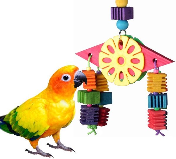 Super Bird Creations Balancing Act Bird Toy, Medium slide 1 of 4