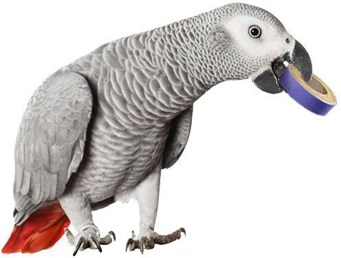 Parrot Pet Bird Toy Super Bird Bagels 1 inch 200 count 