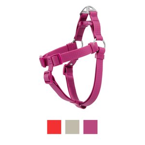 Frisco Outdoor Solid Textured Waterproof Stink Proof PVC Dog Harness, Boysenberry Purple, Medium, Neck: 16 to 22-in, Girth: 19 to 29-in