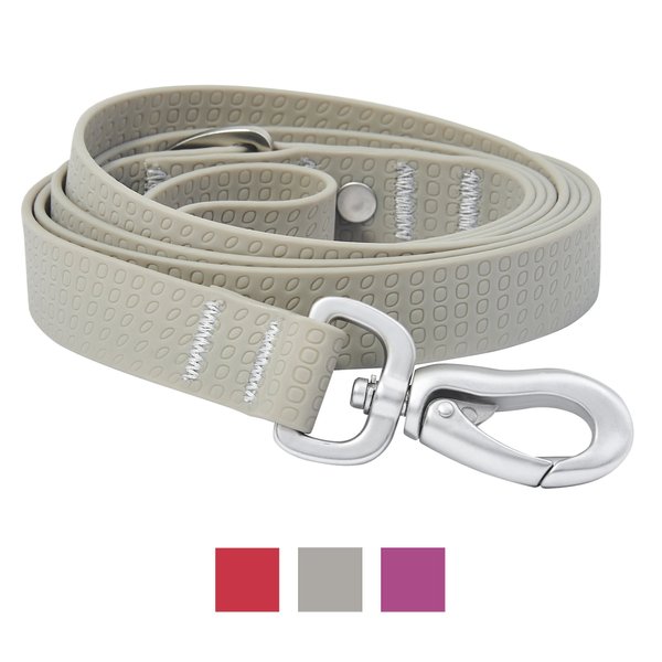 Frisco Outdoor Solid Textured Waterproof Stink Proof PVC Dog Leash, Storm Gray, Small - Length: 6-ft, Width: 5/8-in slide 1 of 6