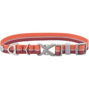 Frisco Outdoor Two Toned Waterproof Stink Proof PVC Dog Collar, Flamepoint Orange, Small - Neck: 10-14-in, Width: 5/8-in