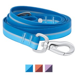 Frisco Outdoor Two Toned Waterproof Stink Proof PVC Dog Leash, River Blue, Small - Length: 6-ft, Width: 5/8-in