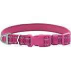 Frisco Outdoor Nylon Reflective Comfort Padded Dog Collar, Boysenberry Purple, Medium - Neck: 14-20-in, Width: 3/4-in