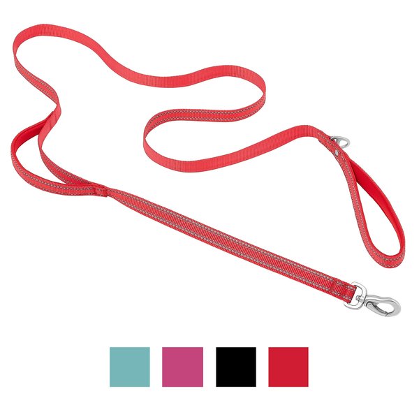 Frisco Outdoor Nylon Reflective Comfort Padded Dog Leash, Sunset Orange, Small - Length: 6-ft, Width: 5/8-in slide 1 of 7