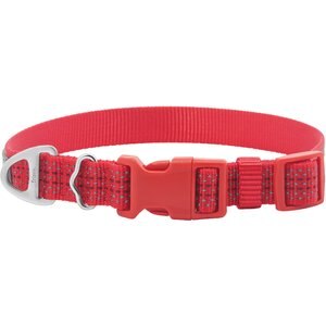 Frisco Outdoor Frisco Outdoor Ultra Reflective Nylon Dog Collar, Flamepoint Orange, Extra Small, Neck: 8-12-in, Width: 5/8th -in