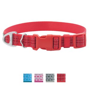 Frisco Outdoor Frisco Outdoor Ultra Reflective Nylon Dog Collar, Flamepoint Orange, Small - Neck: 10-14-in, Width: 5/8-in