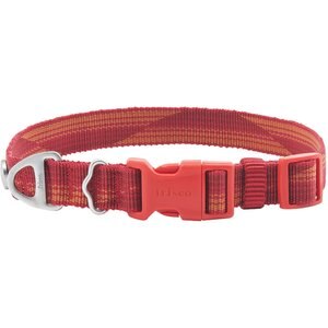Frisco Outdoor Woven Jacquard Nylon Dog Collar, Flamepoint Orange, Extra Small, Neck: 8-12-in, Width: 5/8th -in