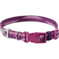 Frisco Outdoor Woven Jacquard Nylon Dog Collar, Boysenberry Purple, Large, Neck: 18 -26-in, Width: 1-in