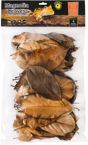 Galapagos Magnolia Terrarium Leaves, 4-qt bag slide 1 of 4