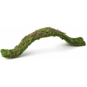 Details about   Galápagos 05266 MossVine Real Moss Vine Natural 12FT