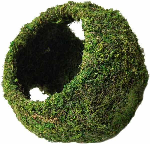 Galapagos Mossy Cave Reptile & Amphibian Terrarium Accessory, Fresh Green, 7.5-in slide 1 of 1