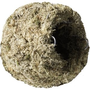 Galapagos Mossy Cave Reptile & Amphibian Terrarium Accessory, Blond, 4-in