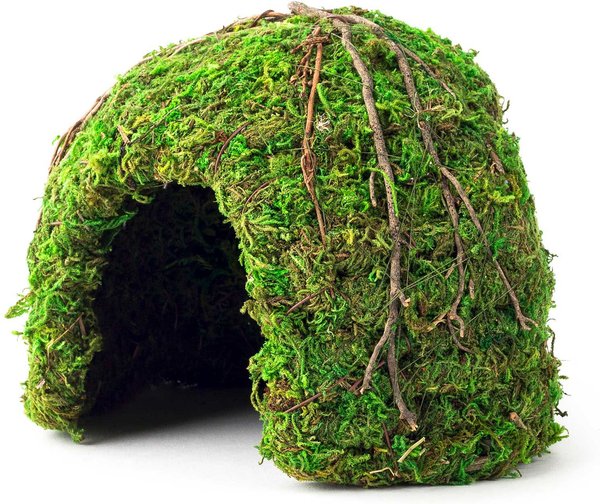 Galapagos Mossy Dome Reptile & Amphibian Terrarium Accessory, Fresh Green, 6-in slide 1 of 2