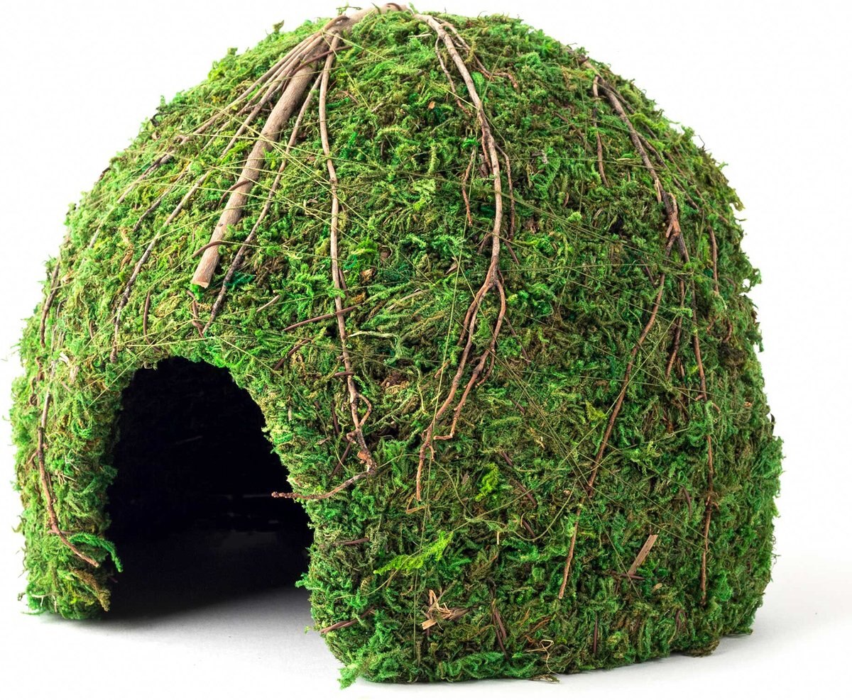 Green Sphagnum 6 Galapagos Mossy Cave Hide