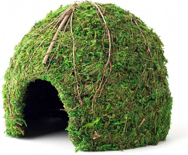 Galapagos Mossy Dome Reptile & Amphibian Terrarium Accessory, Fresh Green, 9-in slide 1 of 2