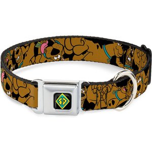 Buckle-Down Scooby Doo Polyester Dog Collar, Small: 9 to 15-in neck, 1-in wide