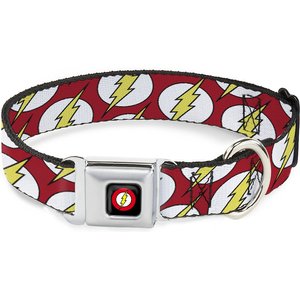 Buckle-Down FLA-Flash Logo Polyester Dog Collar, Small: 9 to 15-in neck, 1-in wide