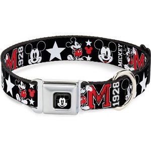 Buckle-Down Mickey Mouse Polyester Dog Collar, Medium: 11 to 17-in neck, 1-in wide