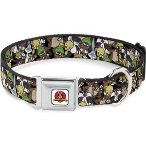 Buckle-Down Looney Tunes Logo Polyester Dog Collar, Small: 9 to 15-in neck, 1-in wide