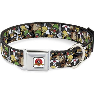 Buckle-Down Looney Tunes Logo Polyester Dog Collar, Large: 15 to 26-in neck, 1-in wide