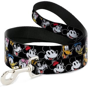 Buckle-Down Disney the Sensational Six Smiling Faces Polyester Standard Dog Leash, Small: 4-ft long, 1-in wide
