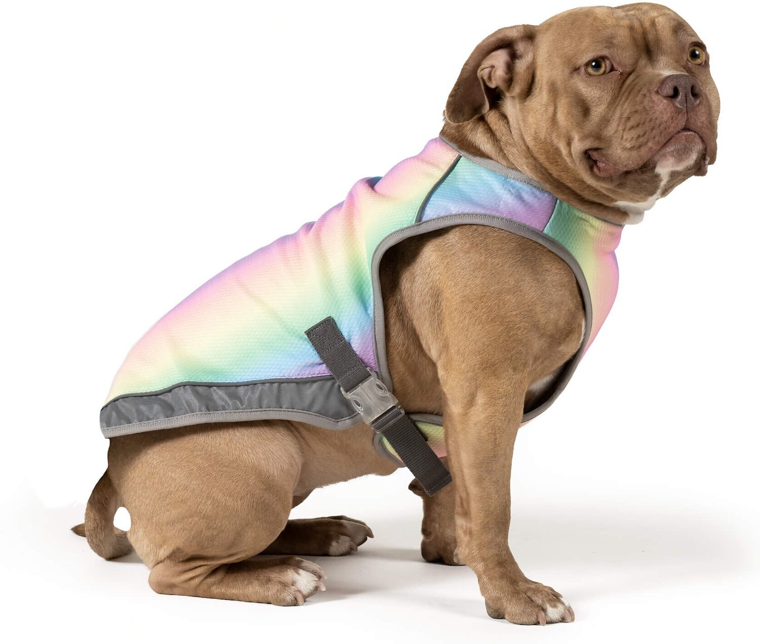dog harness vest with handle