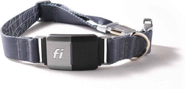 Fi Series 2 GPS Tracker Smart Dog Collar, Gray, Large: 16 to 22.5-in neck, 1-in wide slide 1 of 5