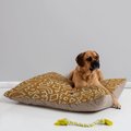 Deny Designs Pillow Cat & Dog Bed w/ Removable Cover, Dashes