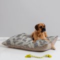 Deny Designs Pillow Cat & Dog Bed w/ Removable Cover, Sketched Nature Branches