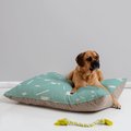 Deny Designs Pillow Cat & Dog Bed w/ Removable Cover, My Favorite Pattern