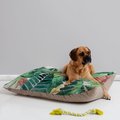 Deny Designs Pillow Cat & Dog Bed w/ Removable Cover, Havana Jungle