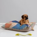 Deny Designs Pillow Cat & Dog Bed w/ Removable Cover, Tribal Pink
